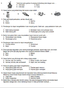 20 Latihan Soal BAB 5 IPAS Kelas 6 SD Semester 2 Kurikukulum Merdeka