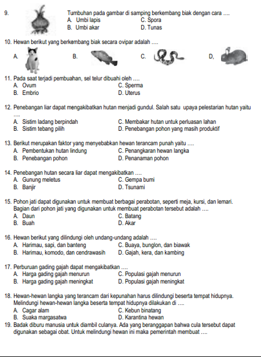 soal ujian ipa kelas 6 semester 2