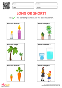 Long And Short Comparison Worksheets