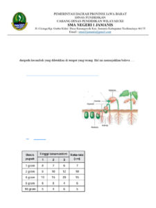 Soal Latihan Biologi Kelas XII PDF