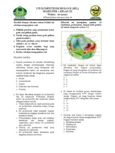 Soal Biologi Dalchaebi